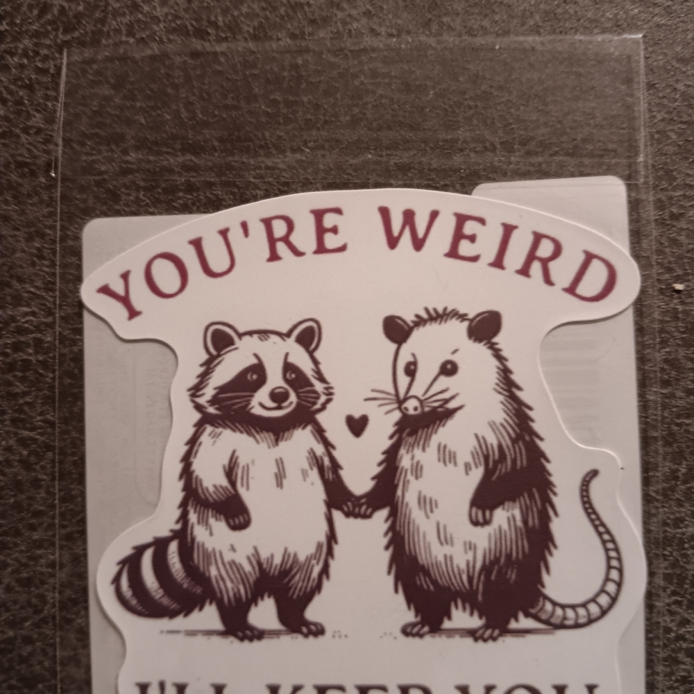 You're Weird Raccoon and Opossum Sticker
